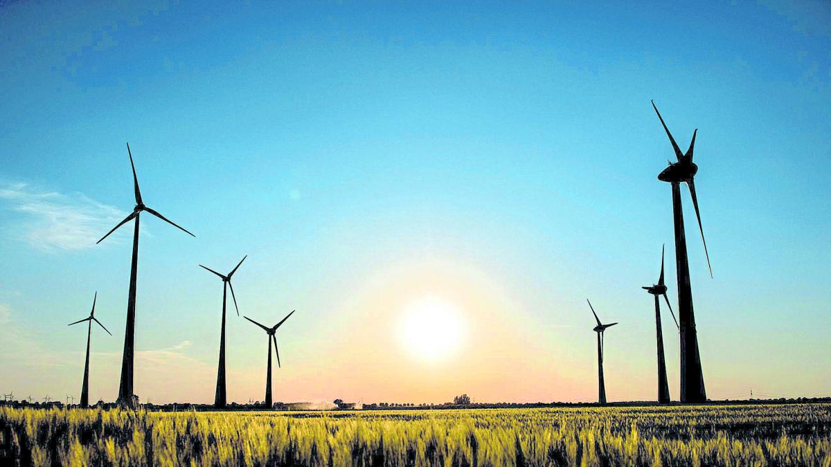 Barranquilla será la base del proyecto de energía eólica marina del grupo danés CIP

 – En la mira