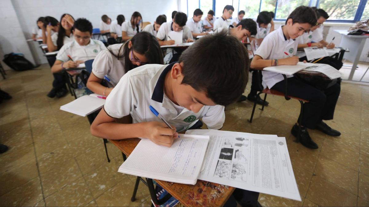 En 2024, la tasa de abandono en los colegios oficiales se mantuvo en el 3,5%, el mismo nivel que en 2023.

 – En la mira