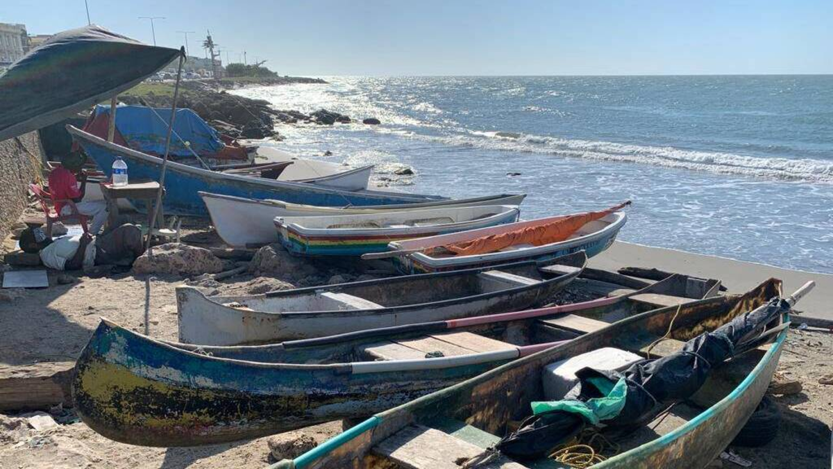 Dos millones de alevines se impulsan a aumentar la mitad y responder a la crisis que viven los pescadores para contaminar

 – En la mira