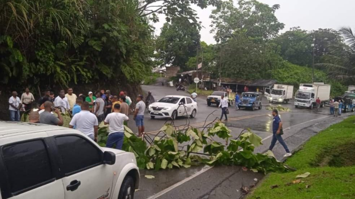 ¿Cómo entender el fenómeno de los bloqueos en la carretera a Buenaventura y Panamericana? Experto analizó un panorama crítico del suroeste del país

 – En la mira