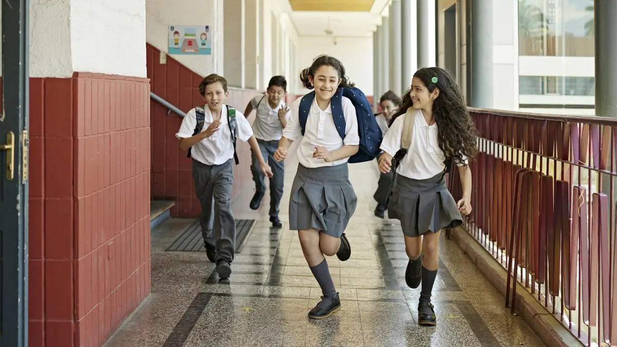 Proban en otro debate en el proyecto de ley del Senado que prohíbe la escuela temprano: ¿qué es?

 – En la mira