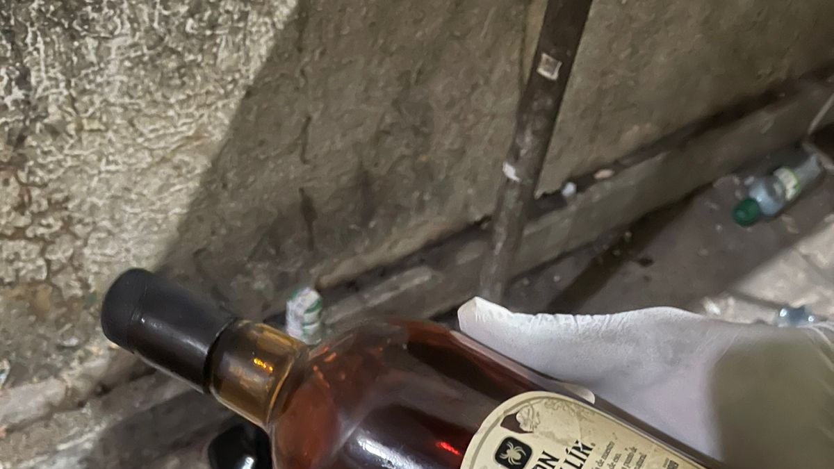 ¿Cómo evitar el “cococho” durante la celebración? Una guía para protegerse del alcohol falsificado en Halloween y Navidad

 – En la mira