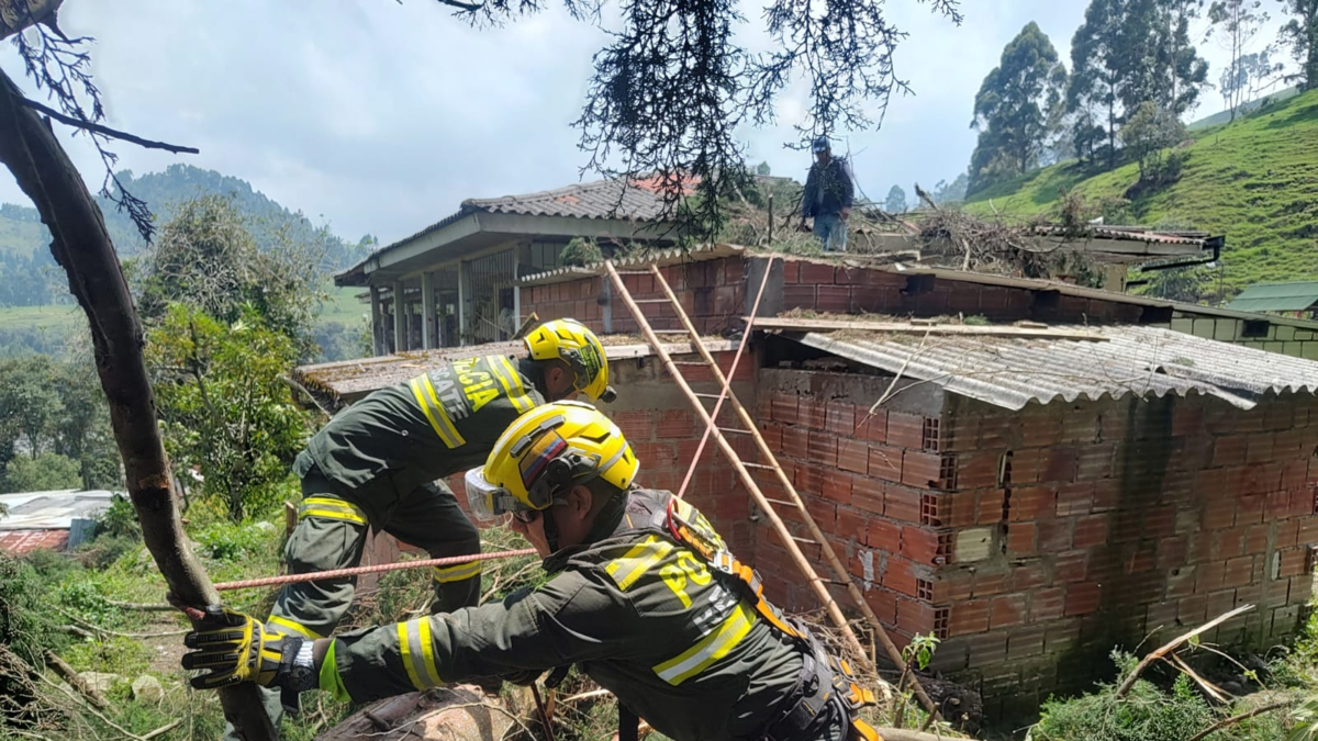 Piden un cuidado especial con menores

 – En la mira