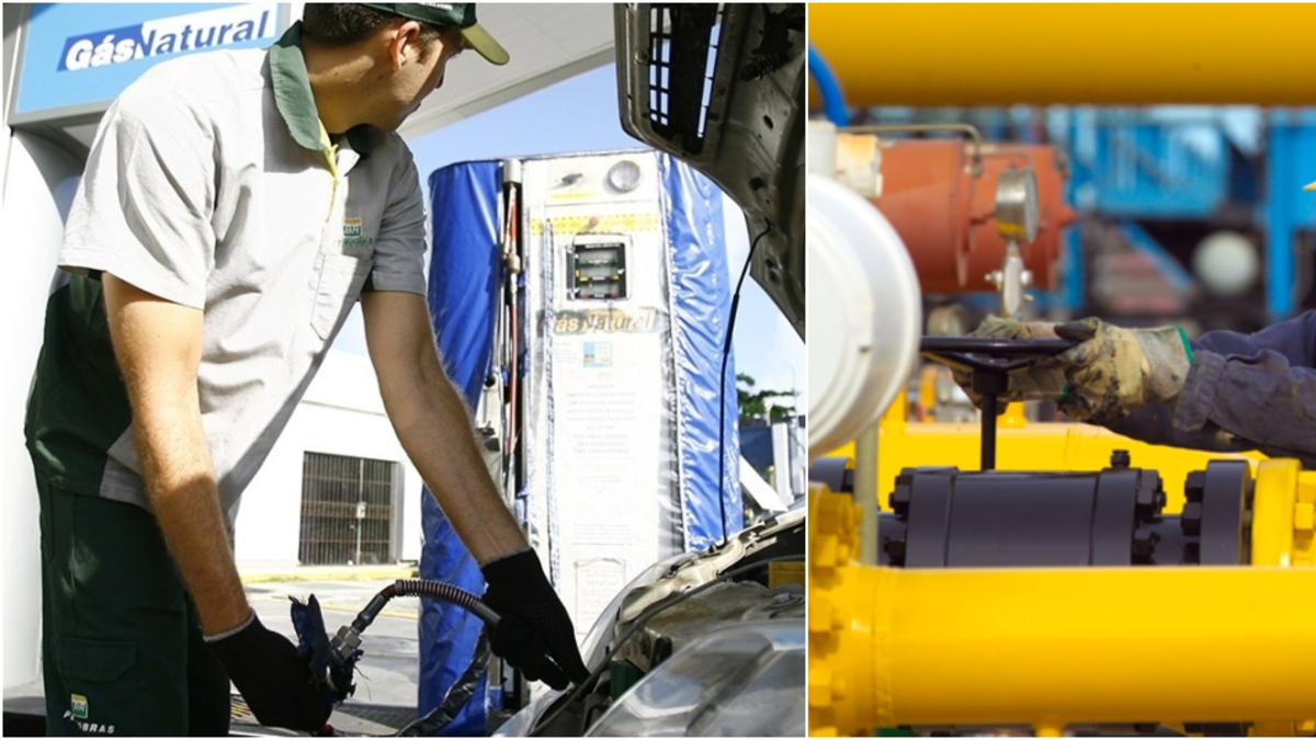 ¿Por qué puede crecer el gas del vehículo en un 50%? Los gobernadores condenan que Meta y Casanare se queden sin suministro de la decisión de Ecopetrola

 – En la mira