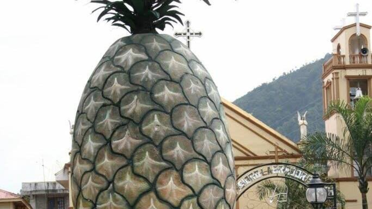 LeBrija, la capital de Piñera de Colombia, revelará el secreto para transformar su fruta insignia en su feria nacional

 – En la mira