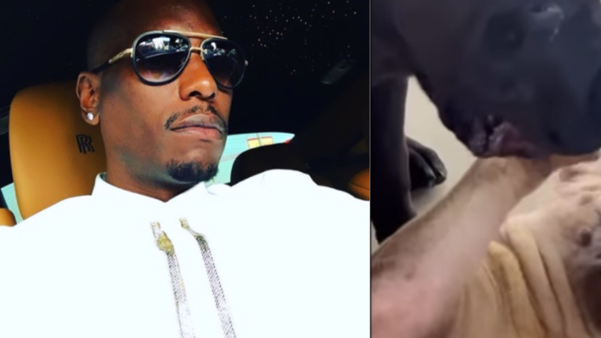 Tyrese Gibson, un reconocido actor de la franquicia ‘Fast and Furious’

 – En la mira