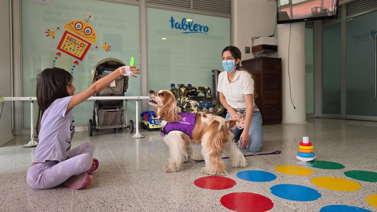 Medellín tiene el primer programa de rehabilitación con perros para pacientes quemados

 – En la mira