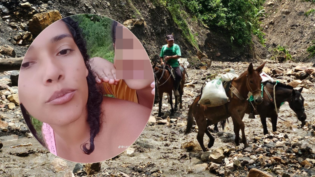 Esta es Carmen Díaz, mujer que fue secuestrada en una quebrada en Páez (Boyacá) mientras cruzaba a caballo para recoger a su esposo e hijos: así va la búsqueda

 – En la mira