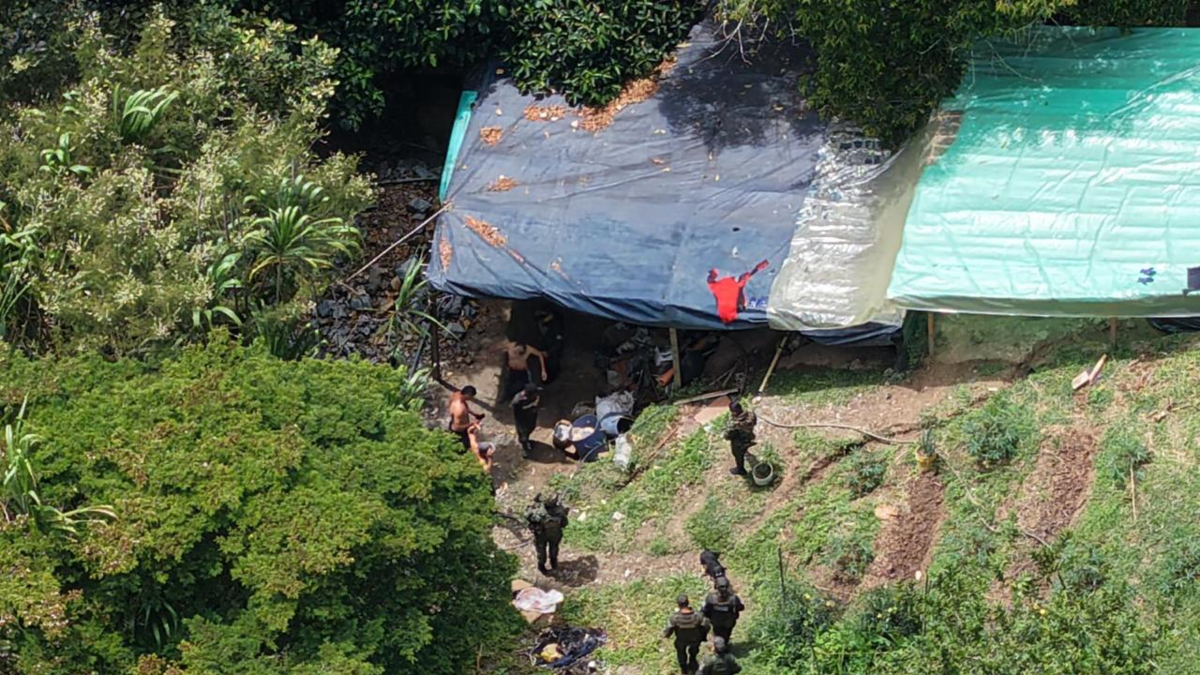 Fue una operación de captura y protección ambiental.

 – En la mira