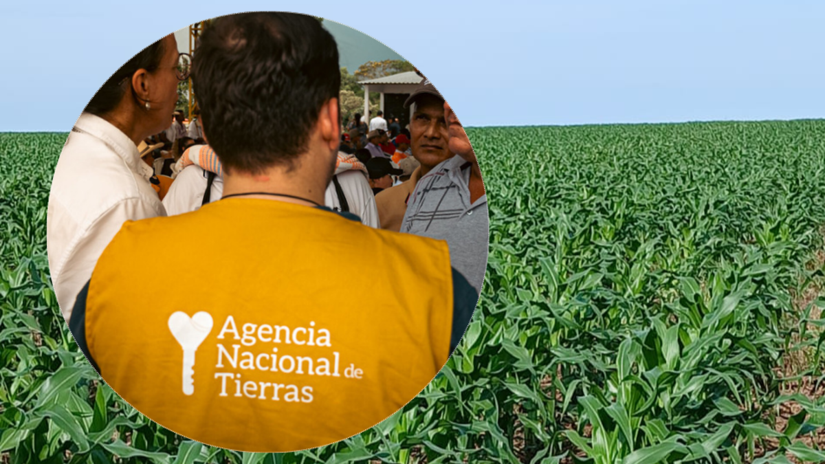 ¿Qué está pasando en Puerto Gaitán? Dos versiones en el centro de la disputa entre ANT y menonitas por las tierras de Altillanura; condenar la supuesta expropiación

 – En la mira