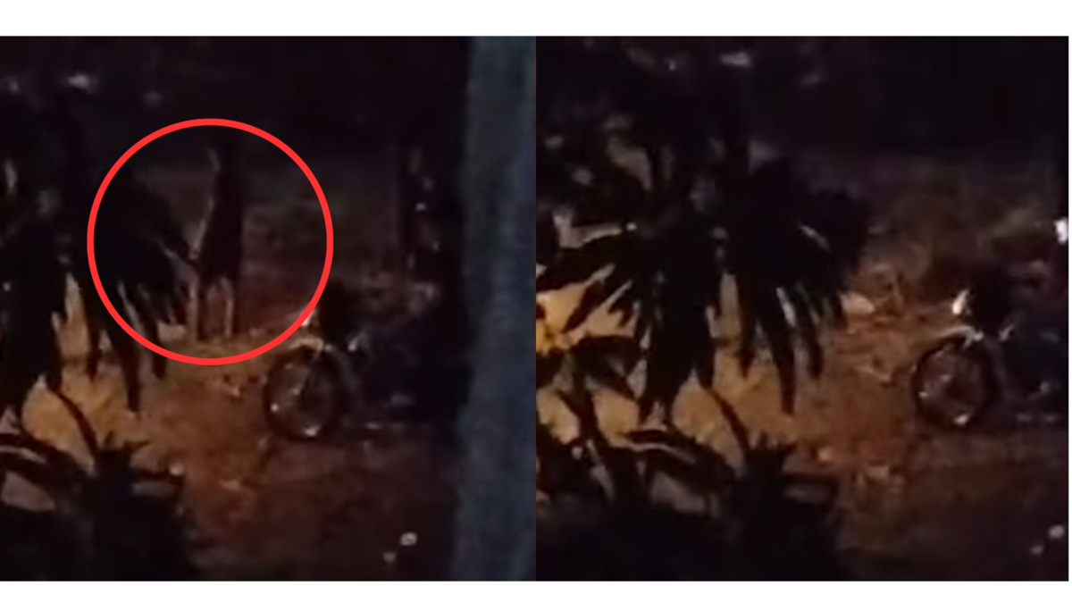 Autoridades investigan la desaparición de un joven que se lanzó al arroyo El Salao en Soledad: aún se desconoce su identidad

 – En la mira
