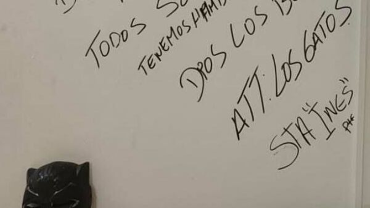 “No te ofendas, todos somos hijos de Dios”.

 – En la mira