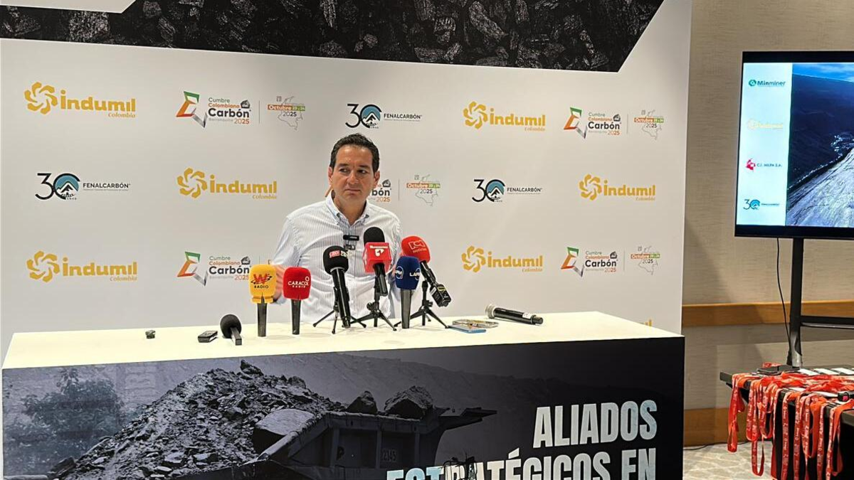 Las exportaciones de carbón han caído un 34%, las pérdidas ascienden a millones de dólares y el sector está haciendo un fuerte llamamiento al gobierno. ¿Qué están pidiendo?

 – En la mira