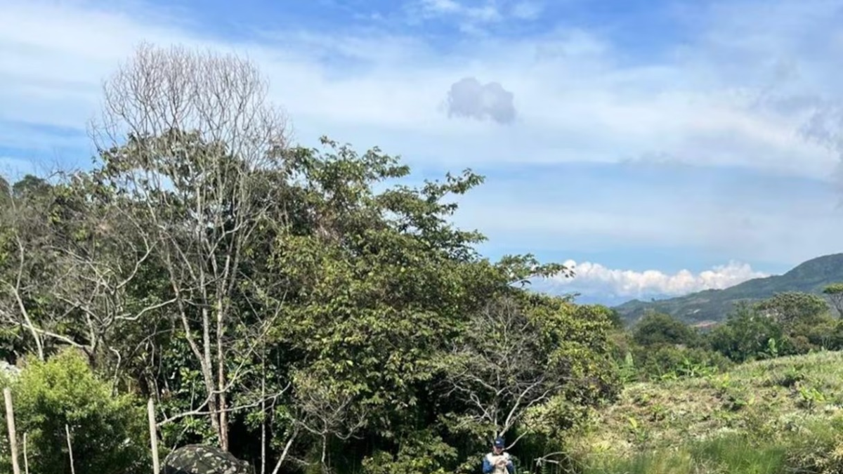 Ejército desmantela red de minería ilegal responsable de financiar a disidencias de las FARC en Santander de Quilichao

 – En la mira