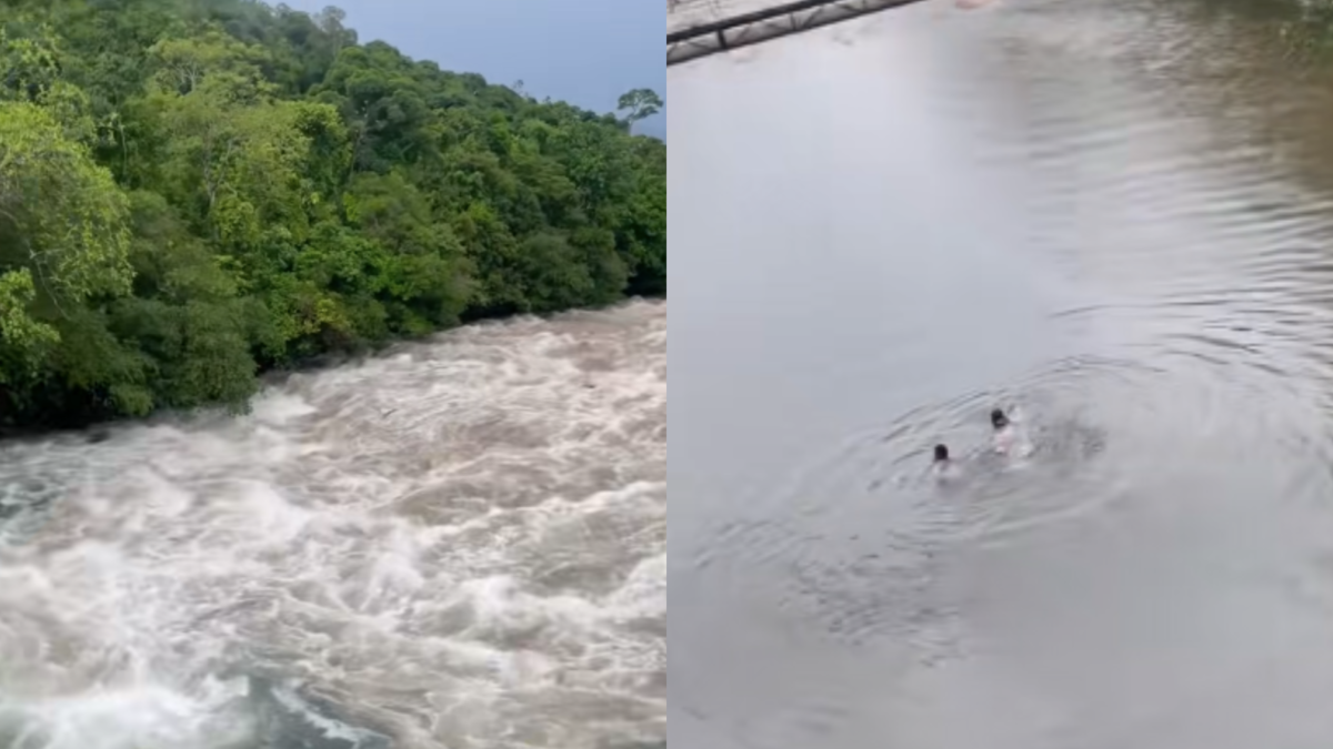 Vídeo| El inquietante momento en el que una pareja se salva de ser devorada por el desarrollo
 – En la mira
