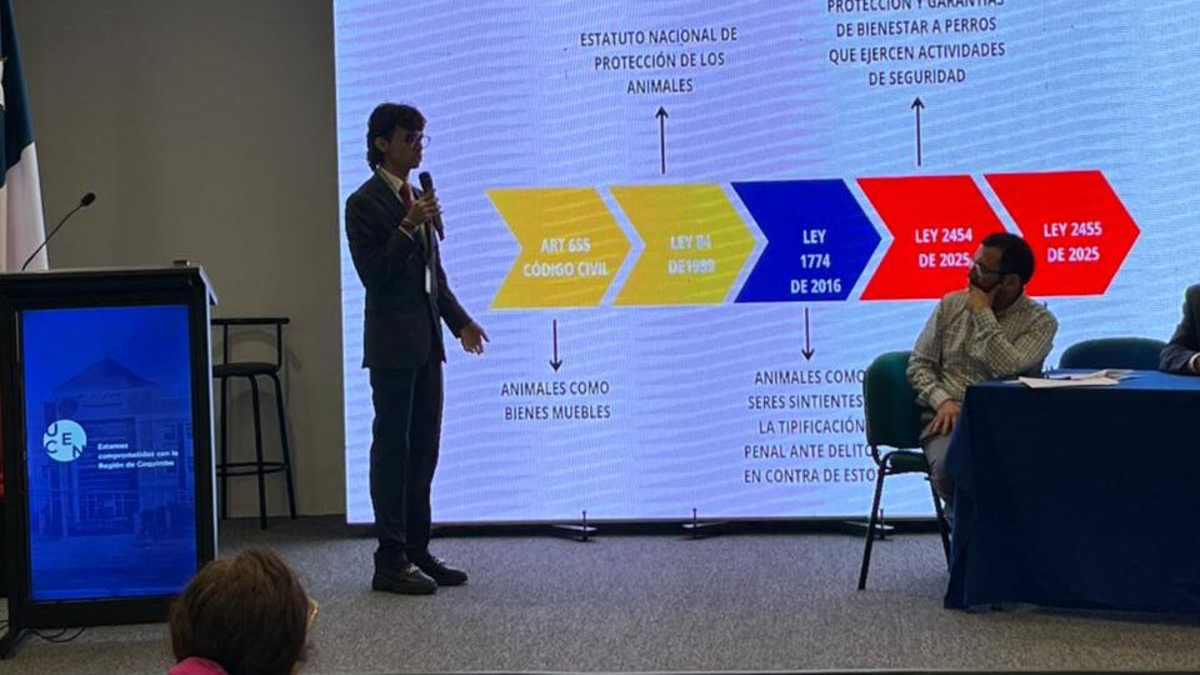 Un joven barranquillero se destaca en el foro internacional sobre derechos animales en Chile
 – En la mira