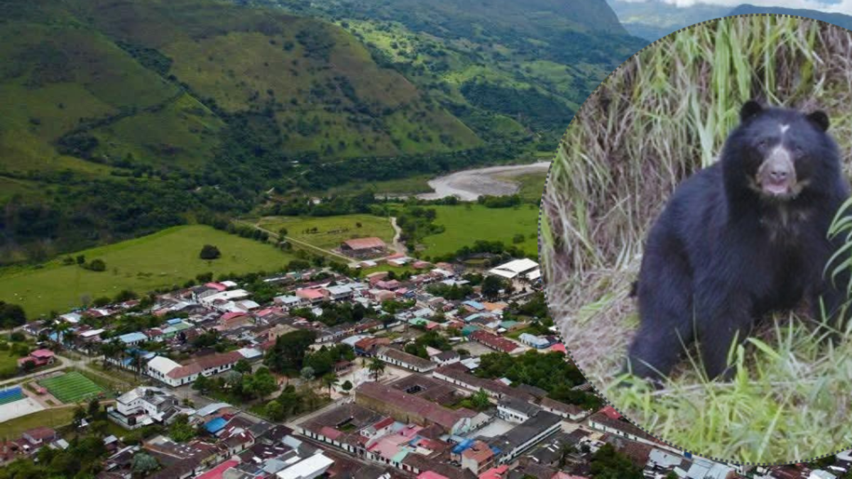 ahora los campesinos los protegen
 – En la mira