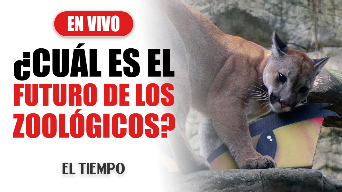 ¿Qué les depara el futuro a los zoológicos?

 – En la mira