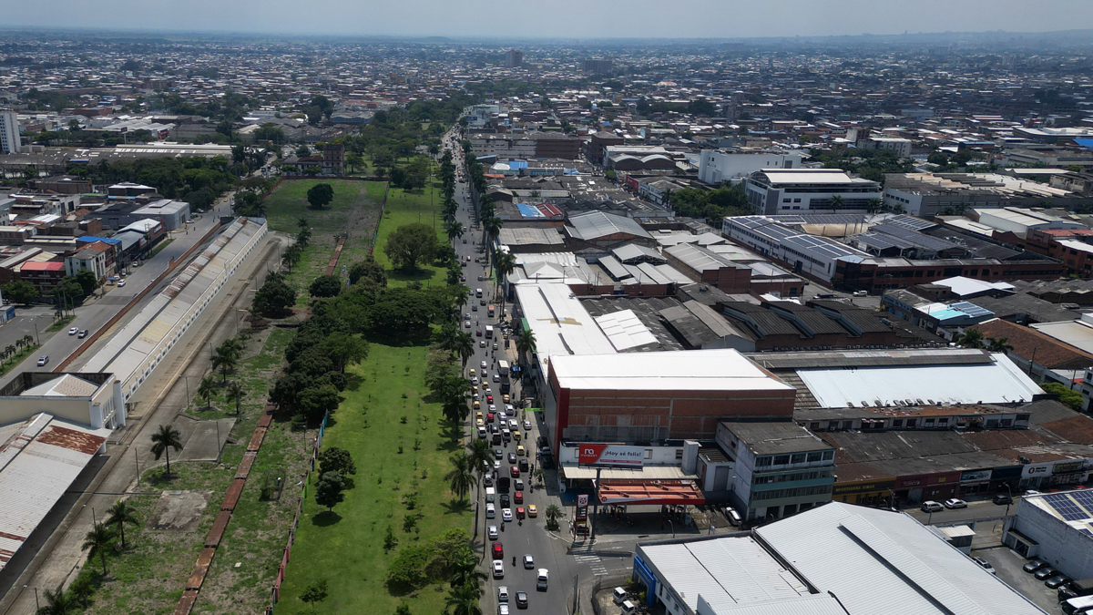 Así va el convenio entre la Alcaldía de Cali y la Comuna 3 para reubicar 71 árboles de la calle 25 para desfiles de feria.
 – En la mira