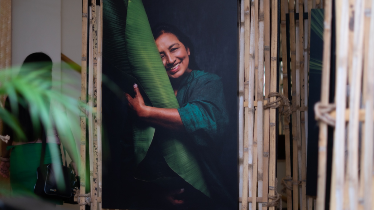 Cali disfrutó de una fusión de arte, cultura y naturaleza al estilo de “29 Grados”, propuesta que cautivó durante la Semana de la Biodiversidad

 – En la mira