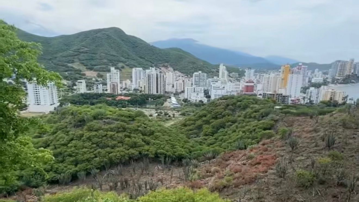 Colina que los empresarios quieren hacer una empresa en Santa Marta

 – En la mira
