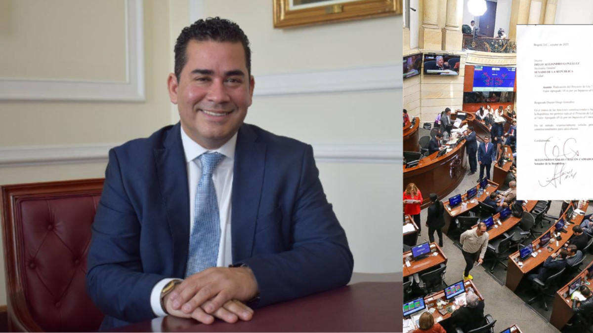 El proyecto de ley propone sustituir el IVA del 19% por un impuesto al consumo del 8%: esto potencia la iniciativa
 – En la mira