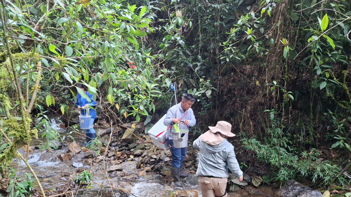 El seguimiento se realiza en 20 cuencas fluviales.
 – En la mira