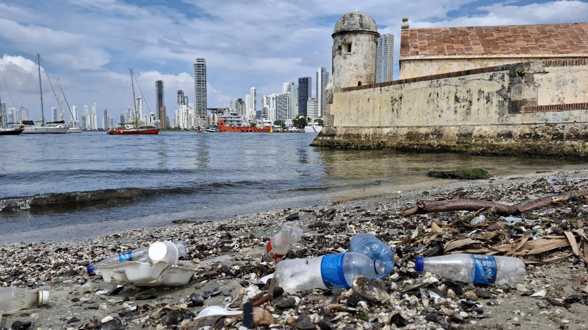 Estudio revela grave impacto en playas, manglares y fauna marina

 – En la mira