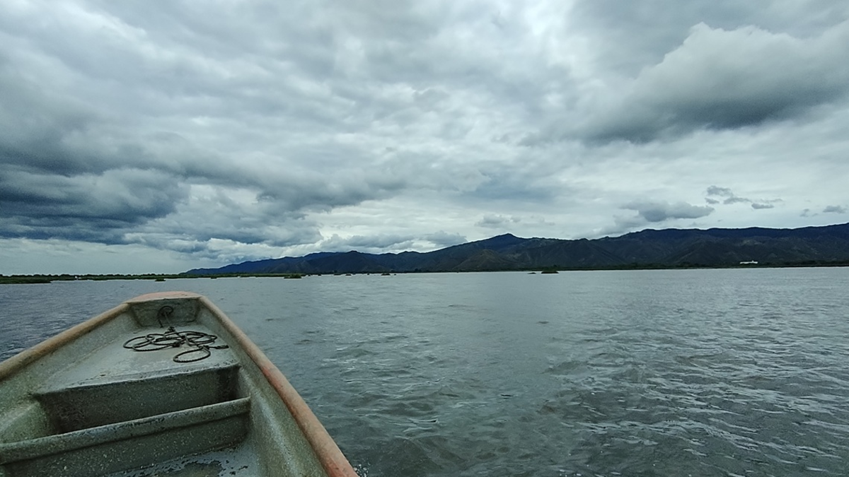 La lucha de los pescadores por mantener viva la laguna de Sonso, una de las joyas naturales del valle, muere entre la esperanza y la incertidumbre

 – En la mira