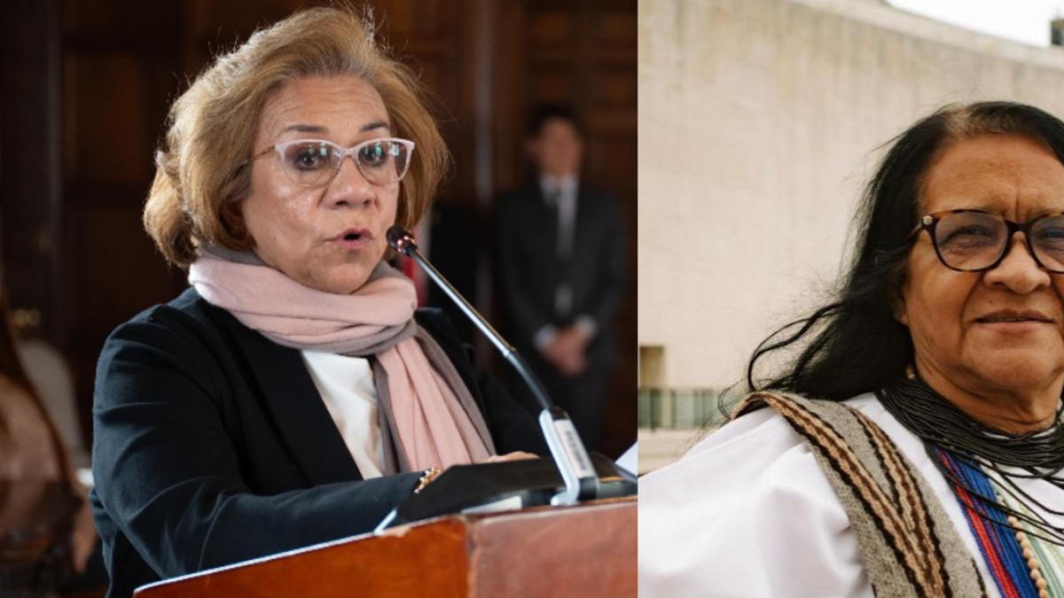 Leonor Zalabata será el único en Colombia al presentar el informe de las Naciones Unidas sobre la implementación del Tratado de Paz

 – En la mira