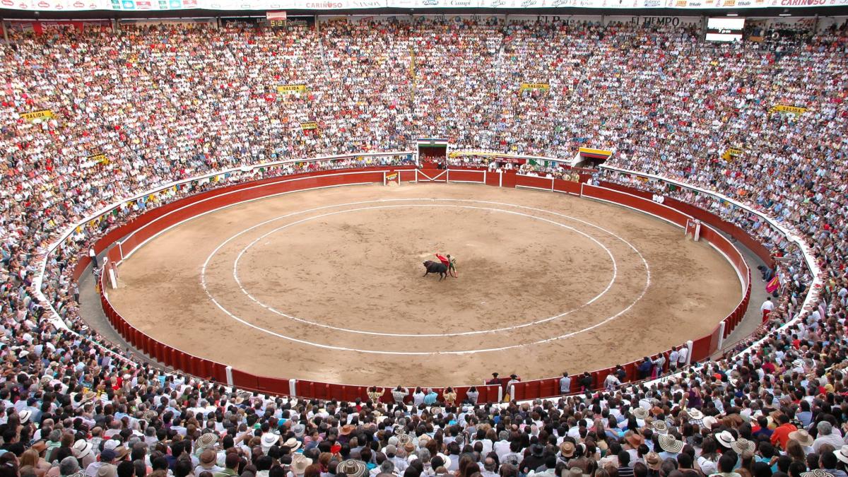 Dudas sobre la aplicación de la ley “No más olé” en la “fiesta brava” de fin de año

 – En la mira