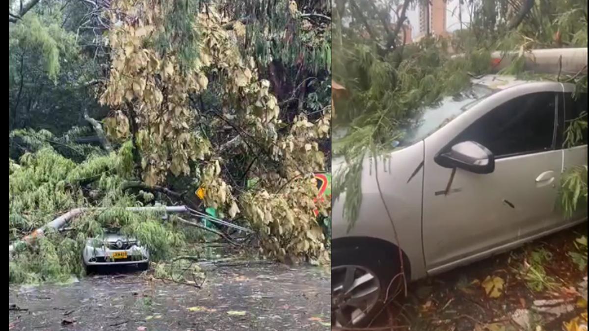 Más de 6.800 emergencias han sido atendidas en lo que va de 2025, de las cuales 1.844 fueron provocadas por fuertes lluvias

 – En la mira