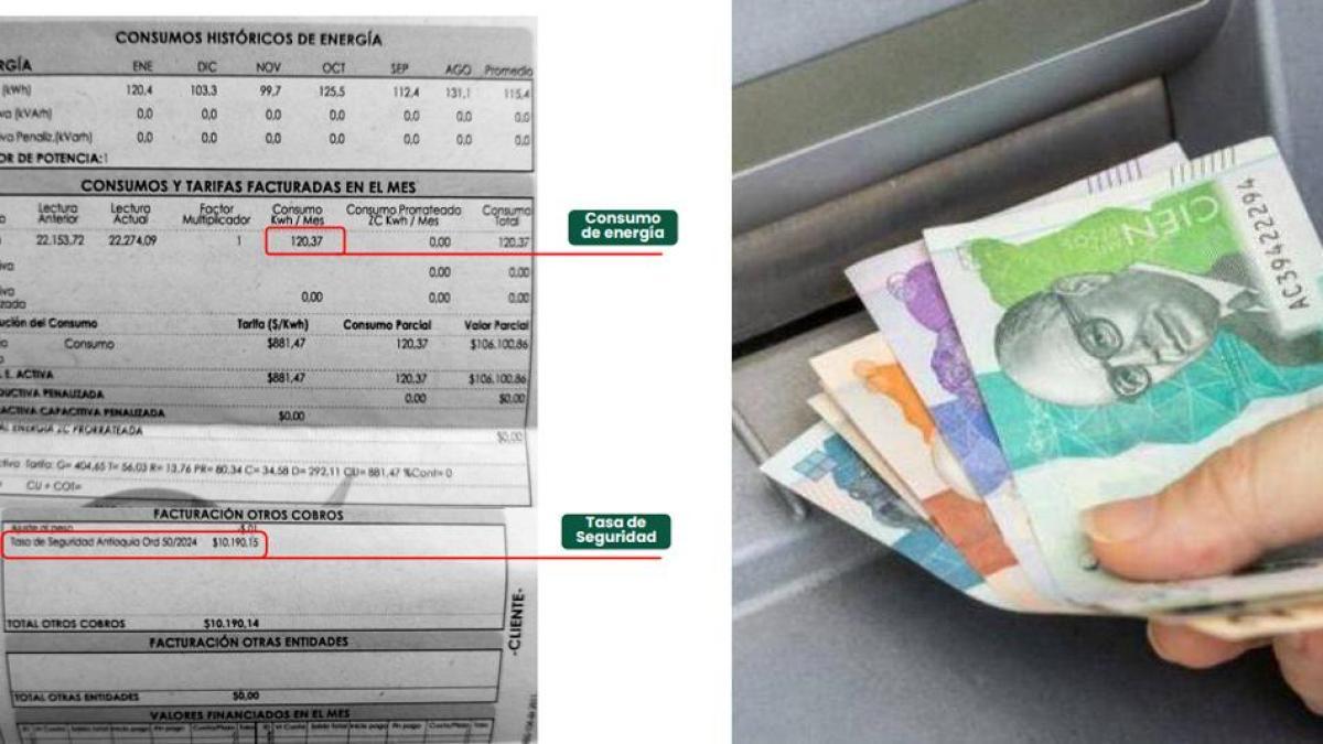 datos sobre pagos de impuestos de seguridad, pagos atrasados ​​e inversiones

 – En la mira