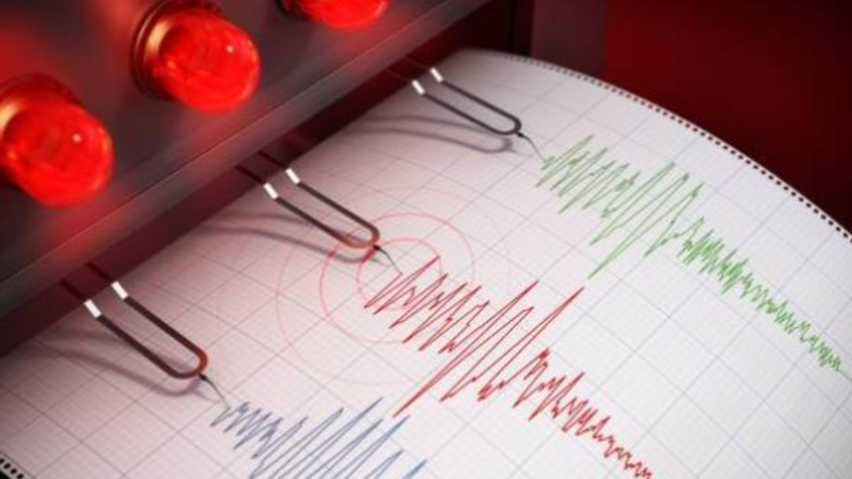 Temblores en Colombia hoy | Reportan sismo la noche del 1 de noviembre; epicentro, tamaño y profundidad

 – En la mira