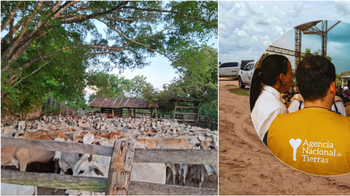 Bunshiro Takemoto, un agricultor japonés que sobrevivió a dos secuestros y fundó una escuela de aprendizaje en Meta, acusa a ANT de despojarlo de sus tierras

 – En la mira