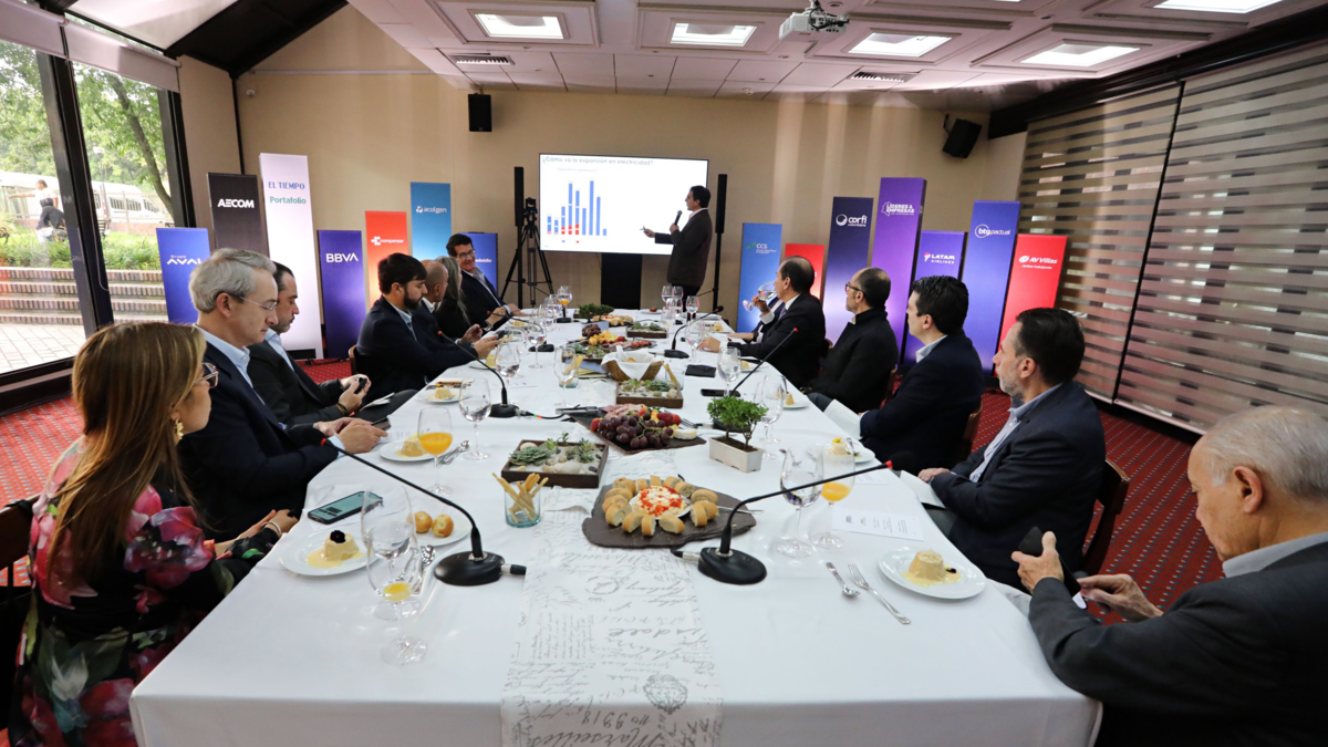 ¿Cómo evitar que el país se quede sin energía? – En la mira