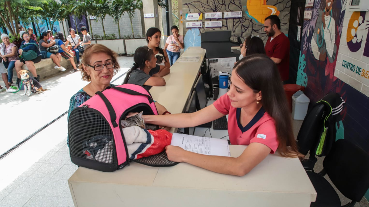 El Centro de Atención Animal de Cali alerta sobre las cinco enfermedades más comunes que afectan a perros y gatos en la ciudad.

 – En la mira