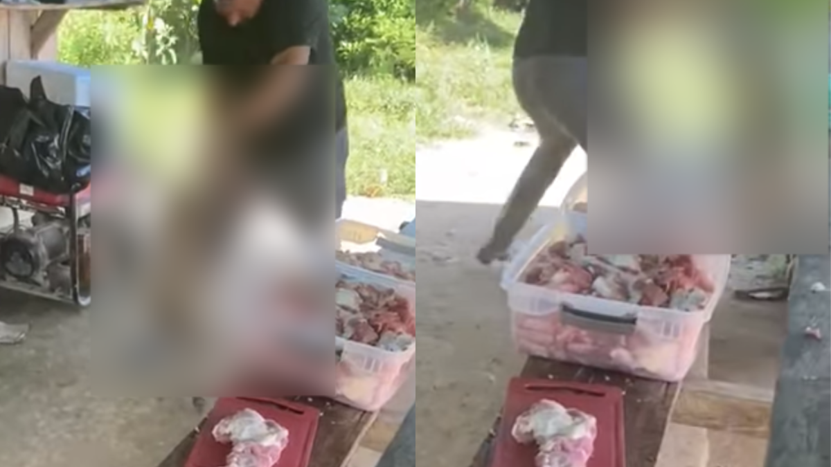 Exigen justicia por perro golpeado con palo y patadas por hombre en Antioquia

 – En la mira