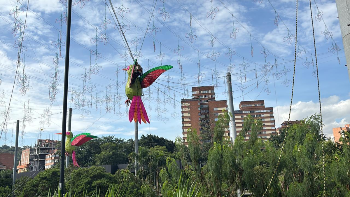 conocer la programación cultural de la ciudad

 – En la mira