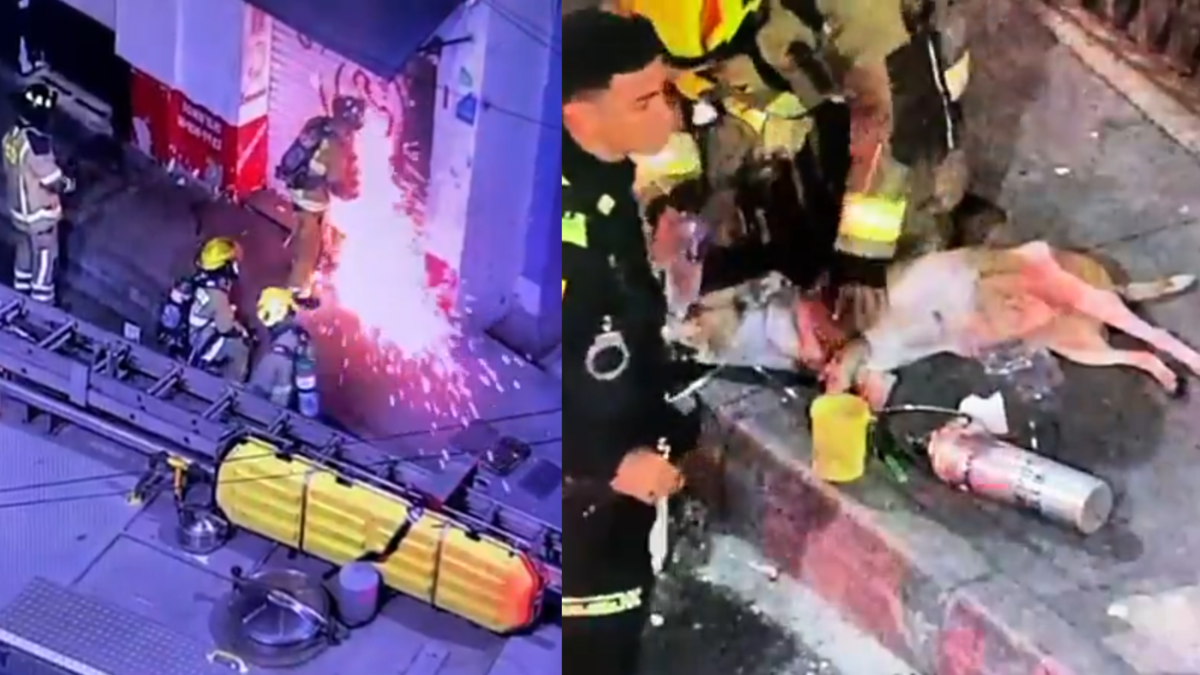 En un acto heroico, dos bomberos lo salvaron

 – En la mira