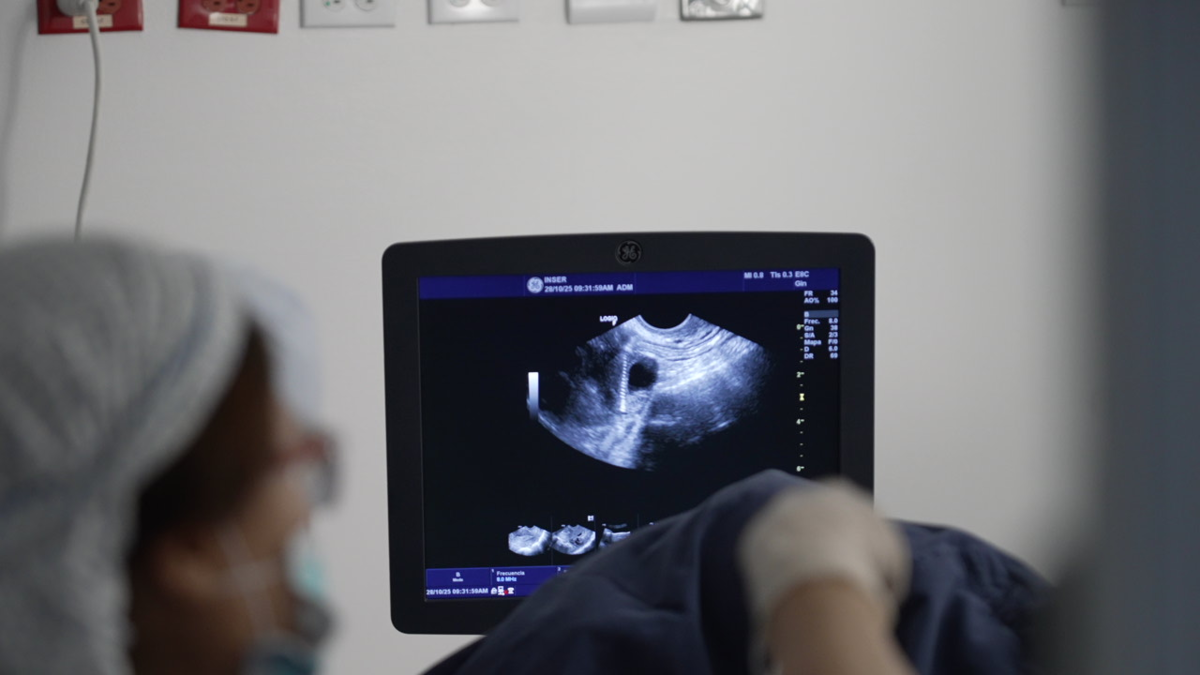 Colombia lucha contra la tasa de natalidad más baja de la historia: 1,1 hijos por mujer

 – En la mira