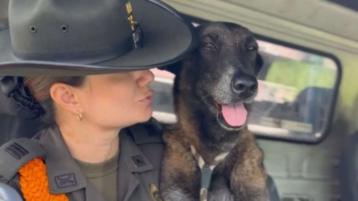 No podía caminar; La policía lo llamó Fiel y esta es su historia

 – En la mira