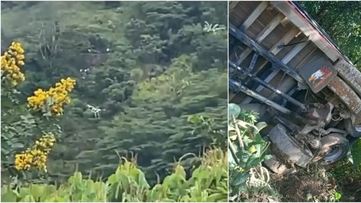 Chiva con más de 40 pasajeros volcada en zona rural de Miranda, dos muertos y más de 30 heridos

 – En la mira