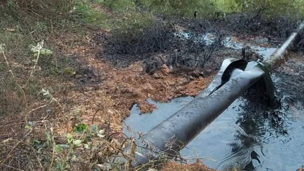 Nuevo ataque al oleoducto Caño Limón-Coveñas en Arauquita obliga a Ecopetrol a activar su plan de contingencia

 – En la mira