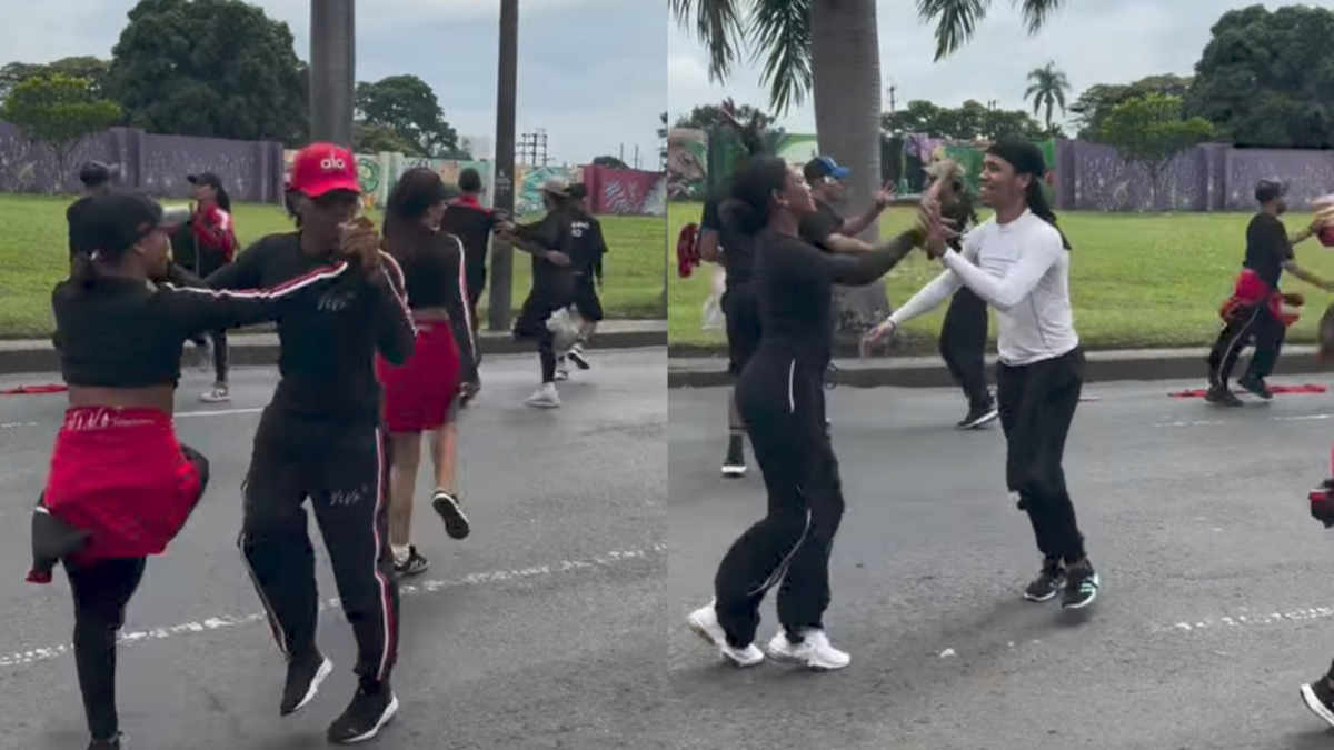 Un ensayo de la obra “Salsódromo” en Cali terminó en emergencia por ataque de abejas

 – En la mira