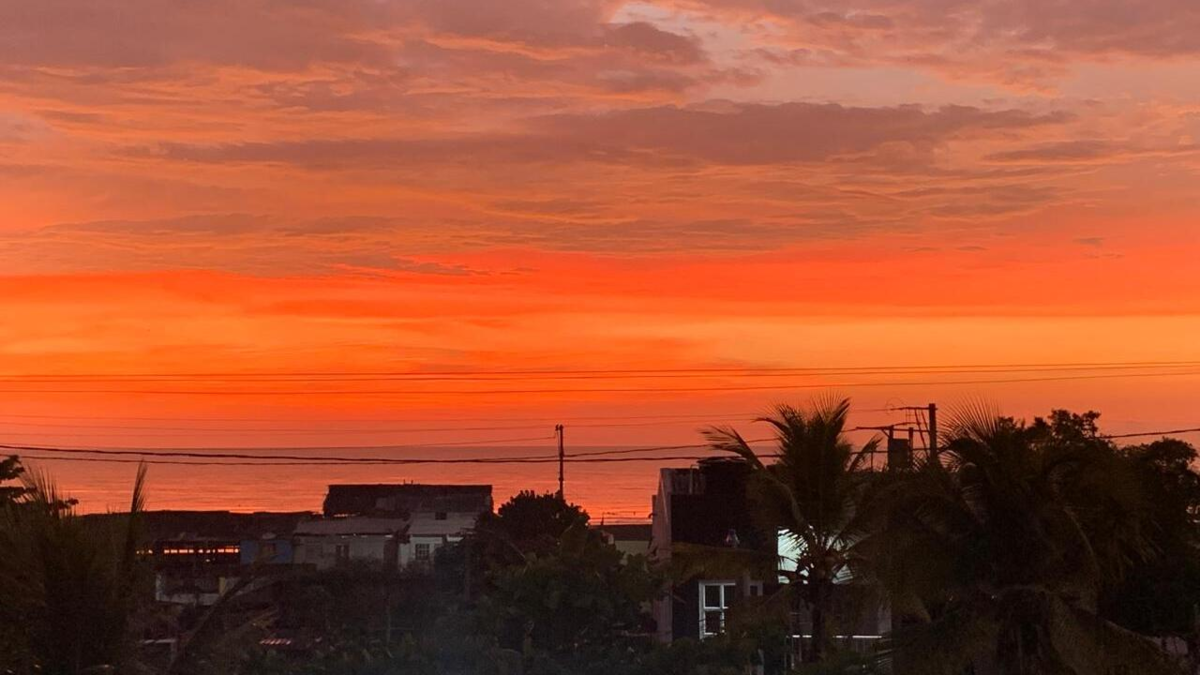 Cartagena-Canadá: vuelos directos desde Toronto y Montreal, se espera que el proyecto supere los 900.000 turistas en la temporada de invierno: el verano caribeño seduce

 – En la mira