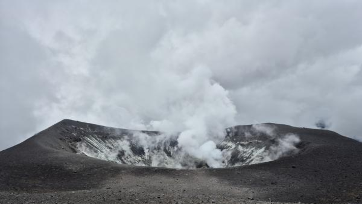 El Gobierno activa protocolos tras la alerta naranja y coordina acciones urgentes con las entidades para reforzar la vigilancia y la preparación

 – En la mira