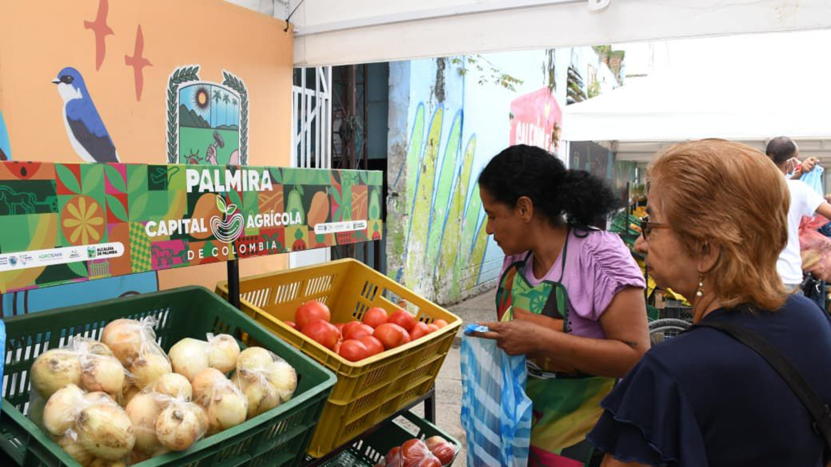 Así se desarrolla Las Delicias, un proyecto de infraestructura que se convierte en la esperanza y corazón del desarrollo de Palmira

 – En la mira