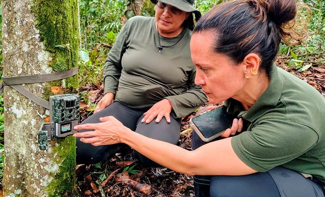 Cali, la primera capital de Colombia en transformar la conservación de su biodiversidad con inteligencia artificial – EXTRA

 – En la mira