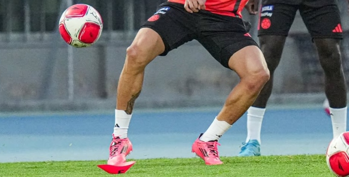 El habitual de Lorenzo se lesionó

 – En la mira